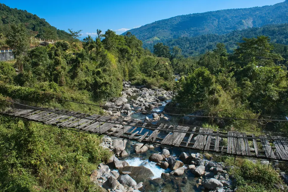 a river running through a lush green forest