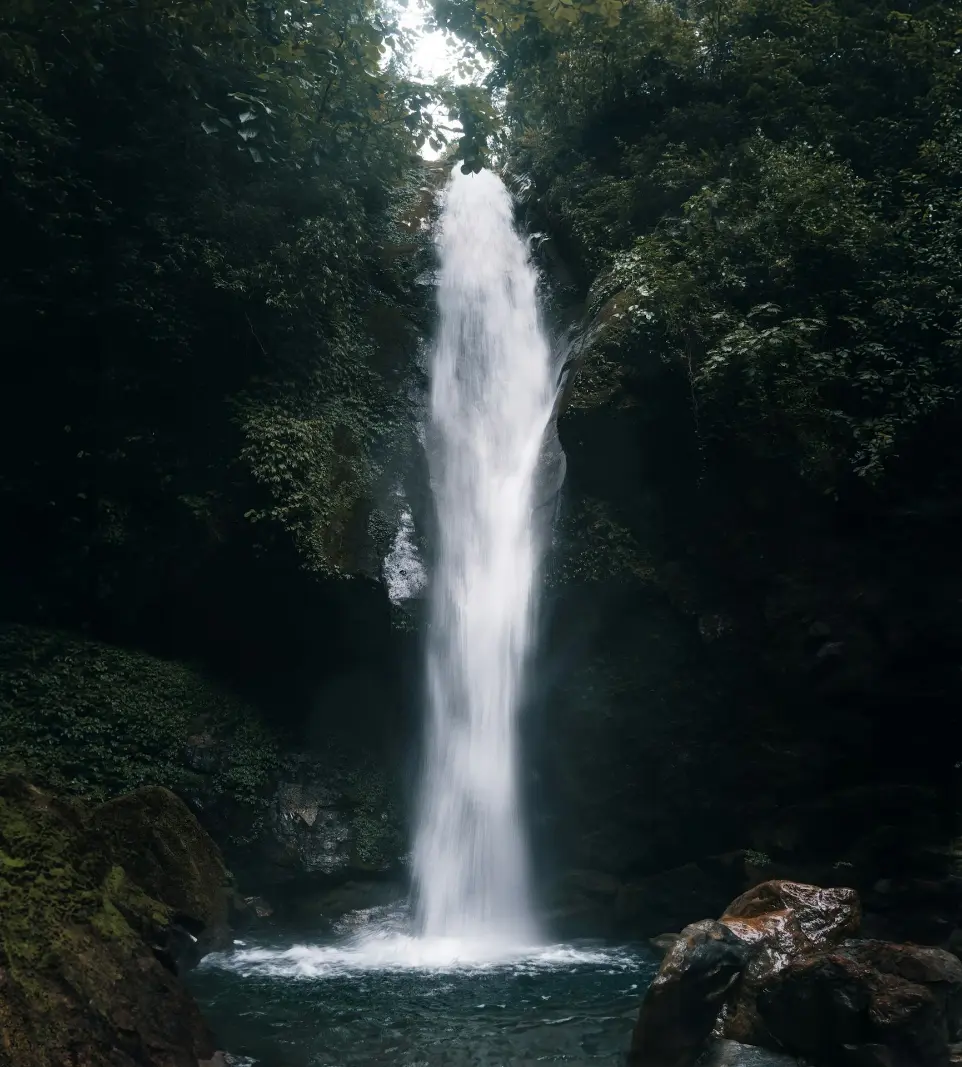 A large waterfall in the middle of a forest